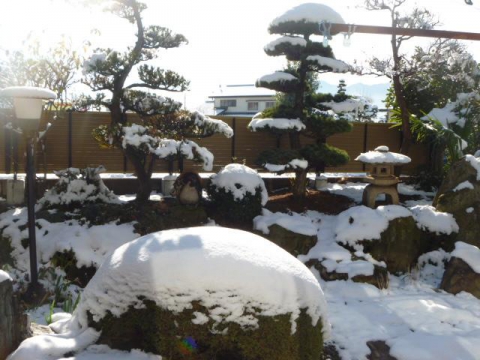 【千曲店】　雪に竹垣　樹脂の竹垣